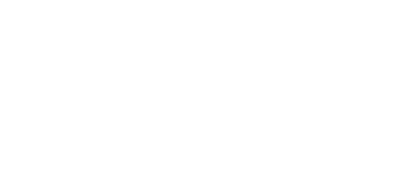 ویزا partner logo